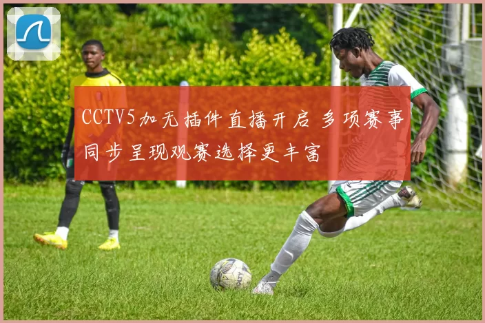 CCTV5加无插件直播开启 多项赛事同步呈现观赛选择更丰富