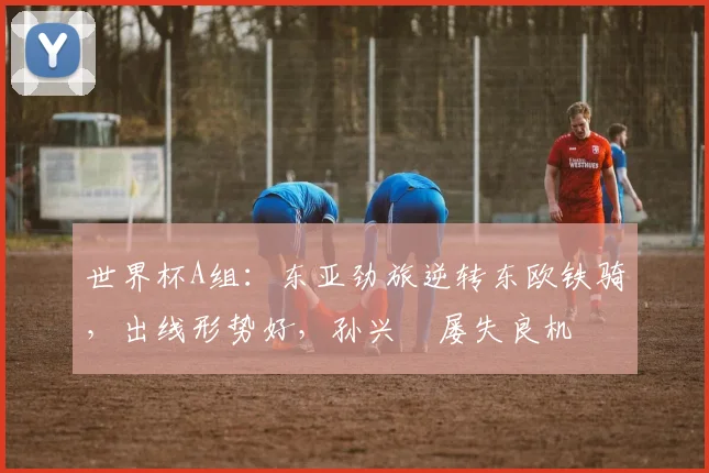 世界杯A组：东亚劲旅逆转东欧铁骑，出线形势好，孙兴慜屡失良机