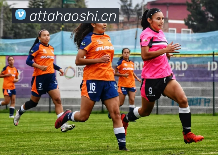 hth官网登录注册入口发展历程